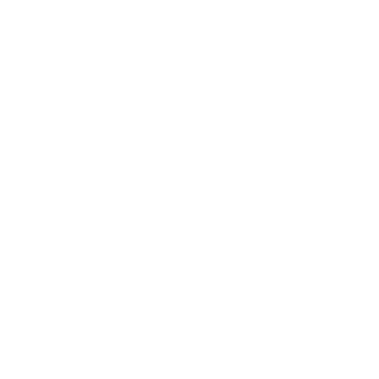 Bushi Bushi Market 